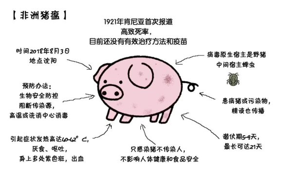 微酸性電解水在豬場養(yǎng)殖行業(yè)的應(yīng)用