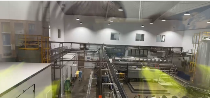 次氯酸发生器技术革新：提升海产品处理加工的安全与效率