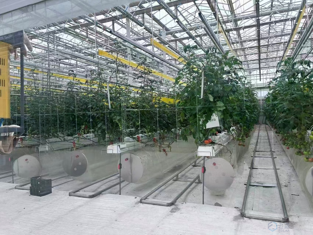 绿色农业新型解决方案｜飞蓝次氯酸发生器助力农业种植