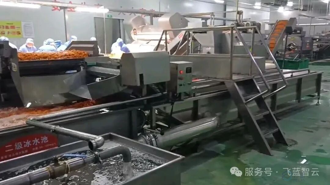 次氯酸发生器在食品加工领域的应用：