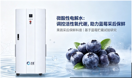 微酸性电解水（次氯酸水）调控活性氧代谢，助力蓝莓采后保鲜